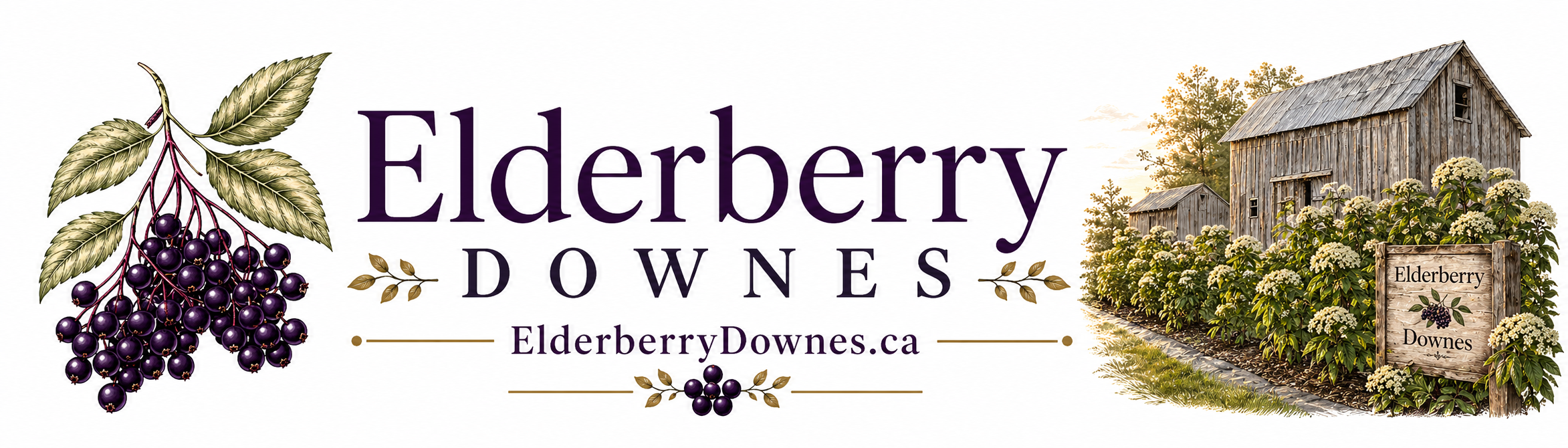 Elderberry Downes | Ontario Grown Elderberries & Small-Batch Products